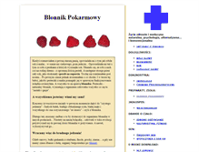 Tablet Screenshot of blonnik.witryna.org